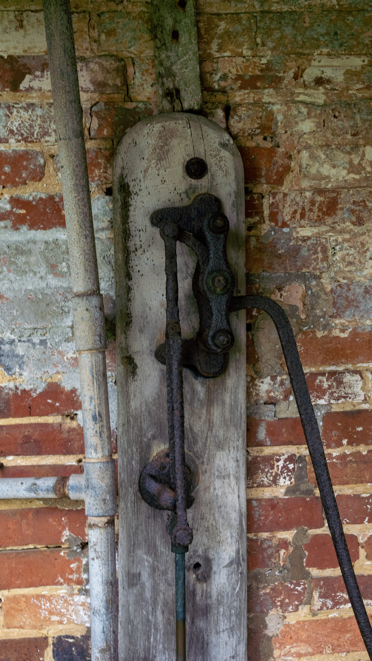 Real Damp Projects